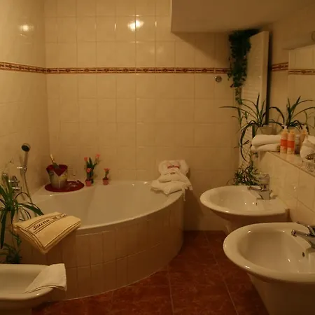 爱森纳赫施罗瑟酒店 4* 艾森纳赫